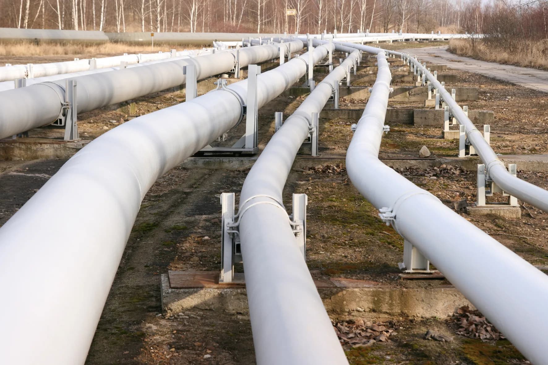 pipelines5.webp